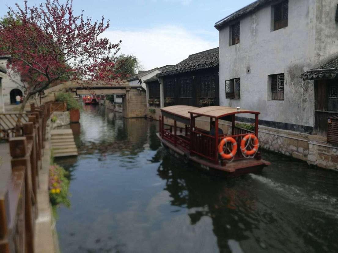 【新春走基层】陇南：蝴蝶兰走“俏”春节市场